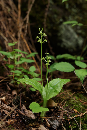 e0054067_2227670.jpg