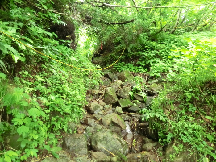 b0185573_20143964.jpg