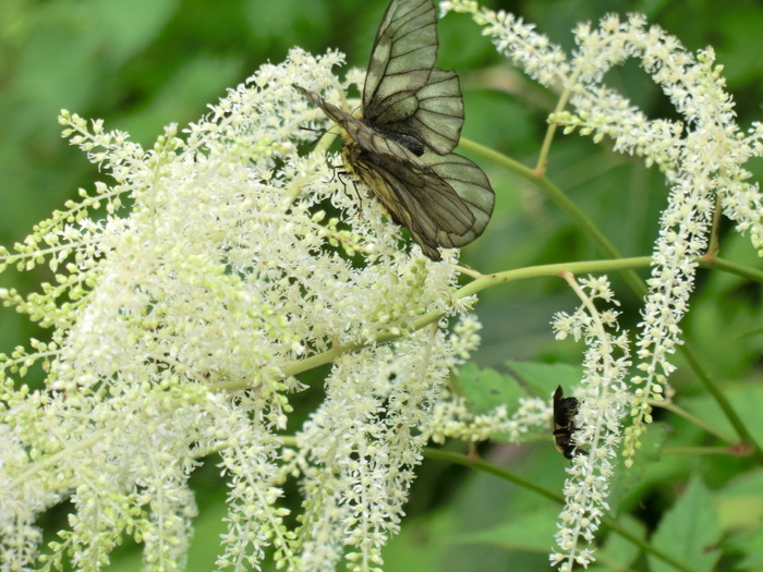 b0185573_2014473.jpg