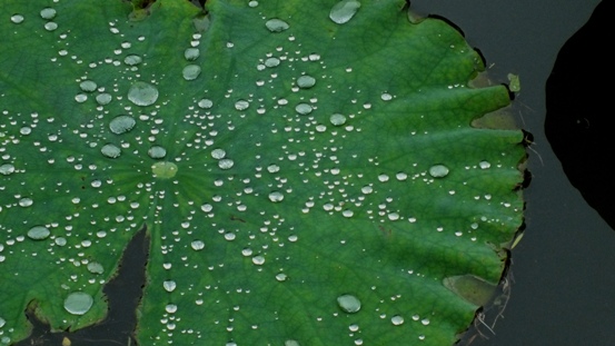 b0214473_1223950.jpg