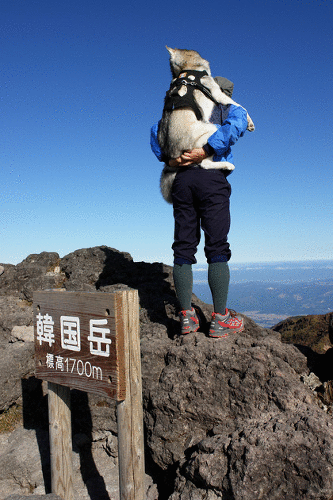 c0009275_1463454.gif