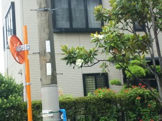 f0200477_0203711.jpg