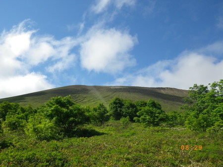 風不死岳×樽前山×お花畑_d0306378_1952538.jpg