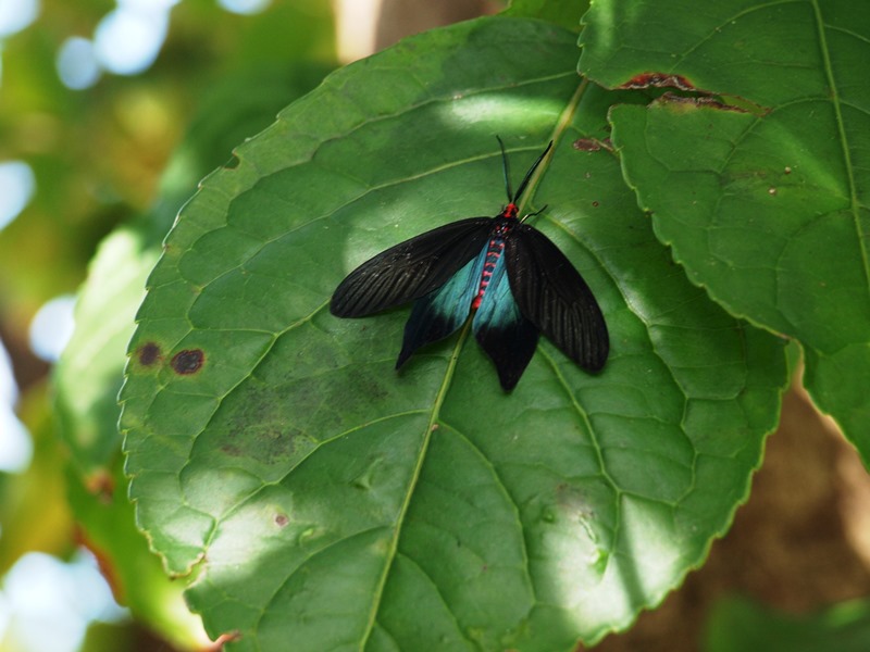 f0083281_181023.jpg