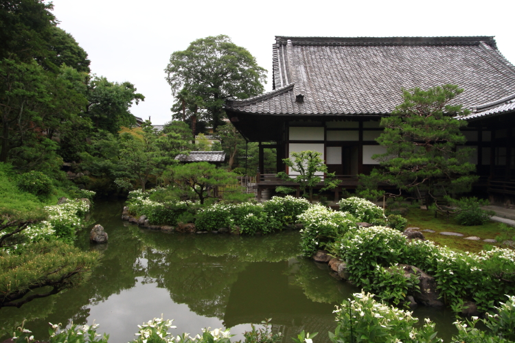 両足院（建仁寺塔頭）_e0051888_630258.jpg