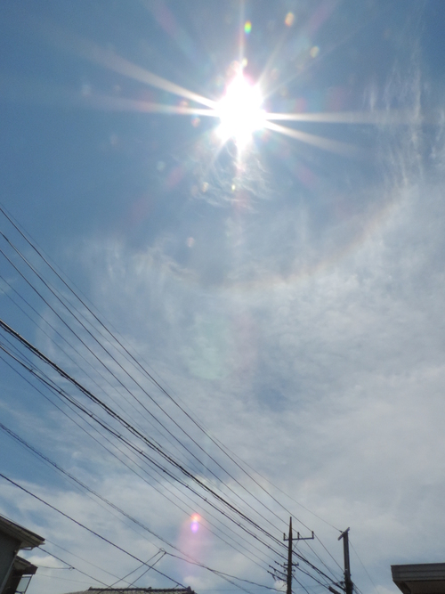 太陽にかかる虹と 虹色のオーブ 小鳥が教えてくれたこと 太陽にかかる虹と 虹色のオーブ 小鳥が教えてくれたこと