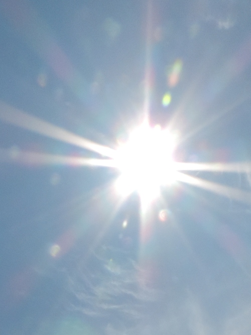 太陽にかかる虹と 虹色のオーブ 小鳥が教えてくれたこと 太陽にかかる虹と 虹色のオーブ 小鳥が教えてくれたこと
