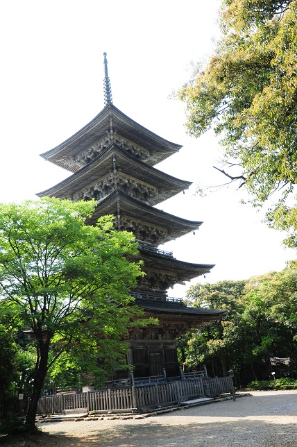 e0244492_1155917.jpg