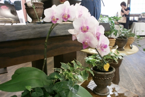 d0000995_0285313.jpg