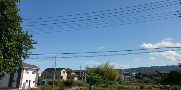 d0000995_2382370.jpg