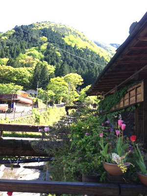 子連れ鉄旅〈大井川鐵道〉SL旅のススメ_寸又峡温泉一泊二日の旅②_e0253101_11523496.jpg