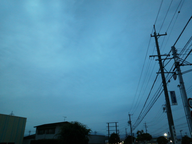 e0099212_2275231.jpg