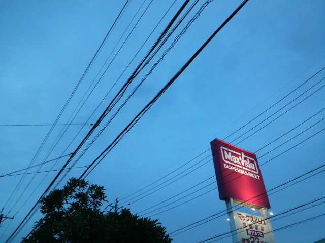 e0099212_2293239.jpg