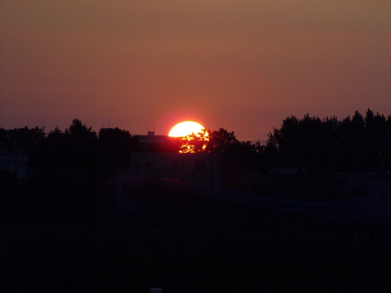 サトウカエデと夕日_c0025115_211656.jpg