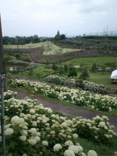 c0140516_96159.jpg