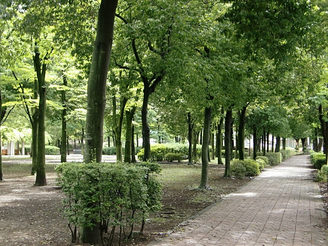 e0234924_8101822.jpg