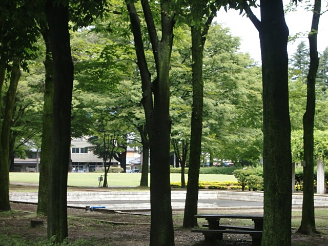 e0234924_8215639.jpg