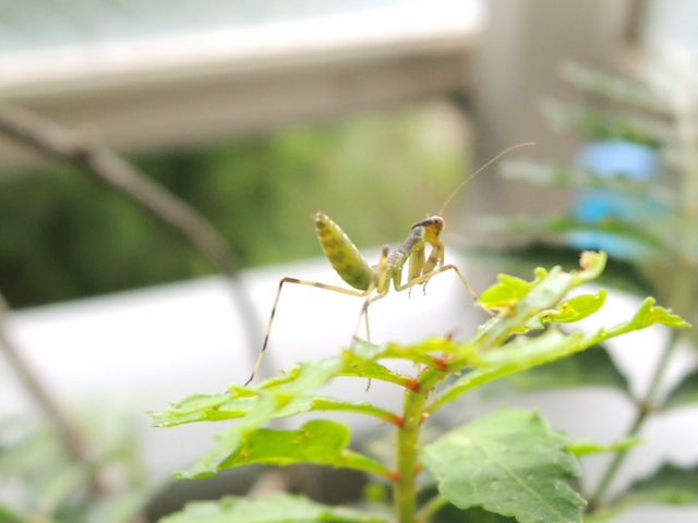 f0229926_8265216.jpg