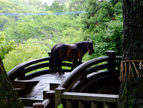 「福岡・糸島 桜井神社」_a0000029_13404724.jpg