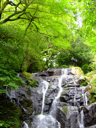 「福岡・糸島 白糸の滝」_a0000029_22471147.jpg