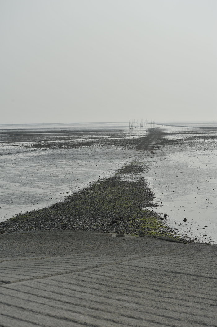 d0079432_23174214.jpg