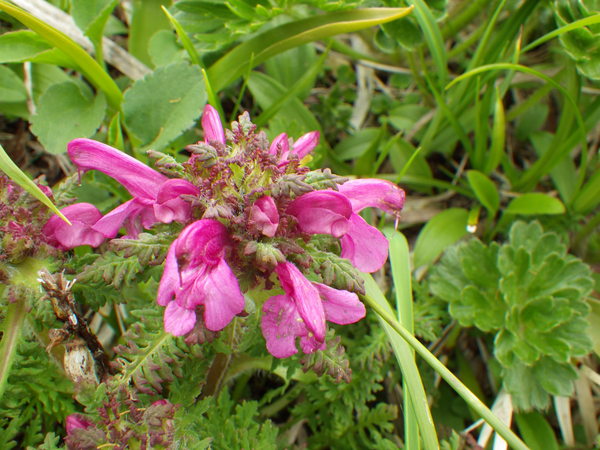 f0118332_21554399.jpg