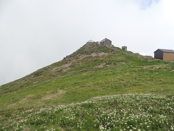 f0118332_21564329.jpg