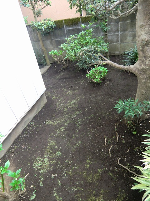 a0006033_1534648.jpg