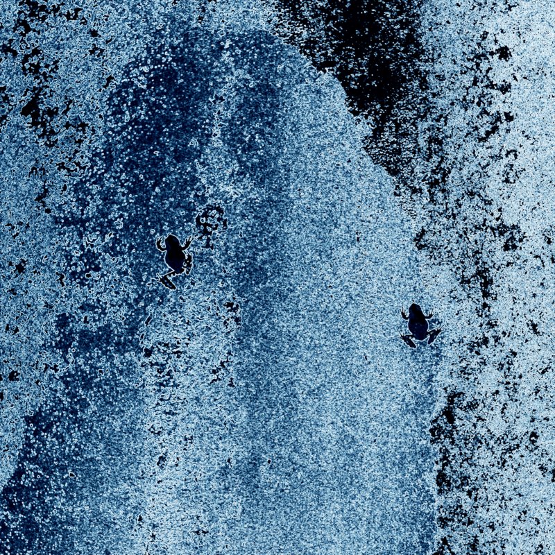 b0147449_1975222.jpg