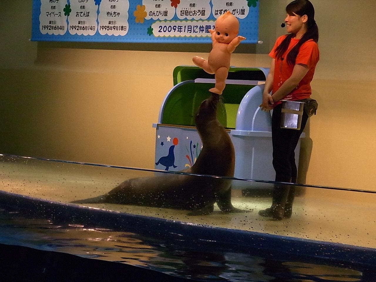 品川水族館_d0236253_16442436.jpg