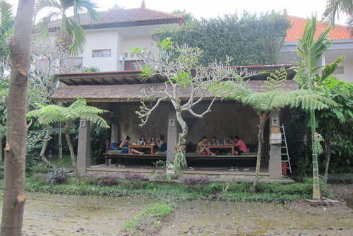 Bali-9._c0153966_19135551.jpg