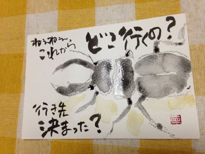 朝から、君はどこ行くの？_e0136066_7302027.jpg