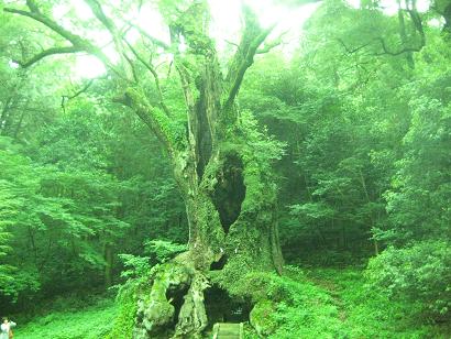 本物のpower***_e0290872_20344343.jpg