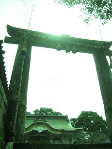本物のpower***_e0290872_21193054.jpg