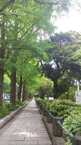 b0169887_14324197.jpg