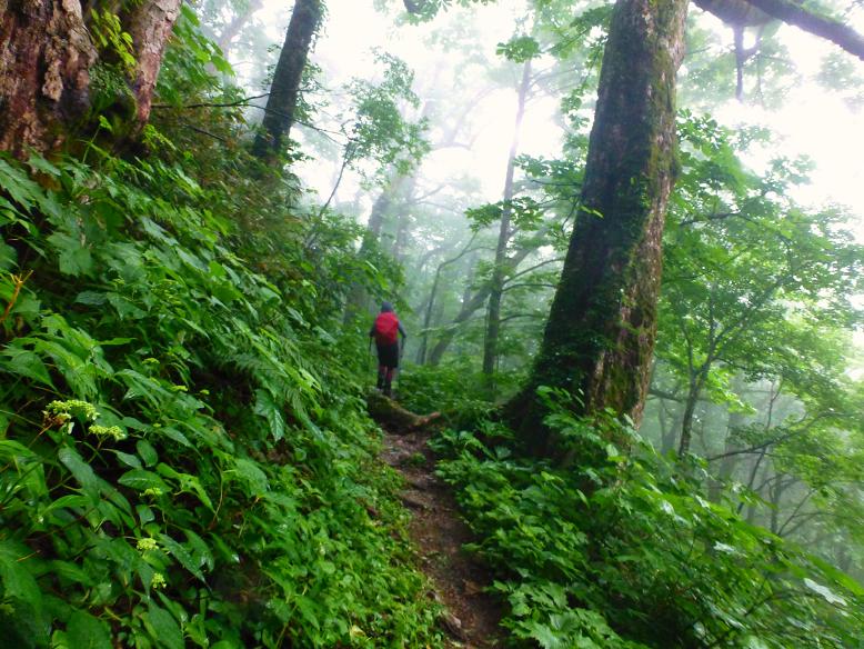 登山　2013-6-27 _d0182188_20241789.jpg