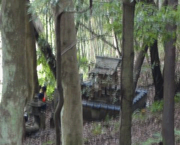 f0007689_17592779.gif