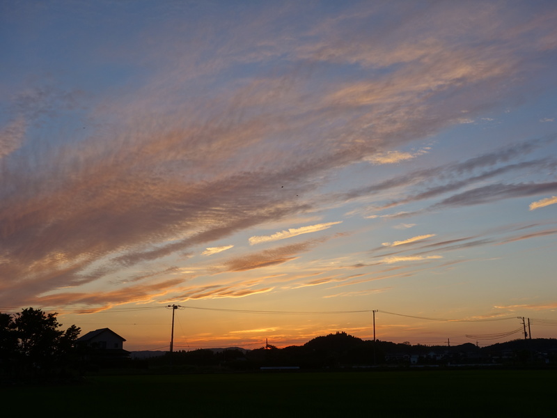 今日の夕焼け_d0021491_043871.jpg