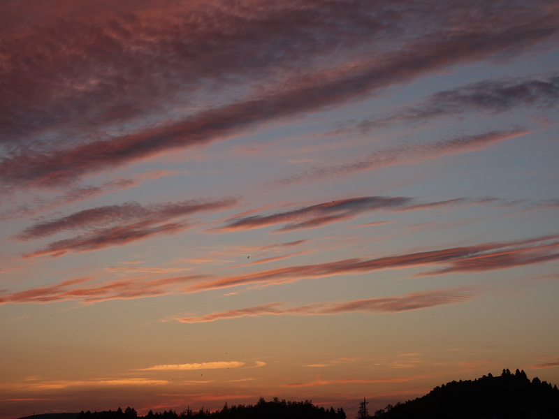 d0021491_052331.jpg