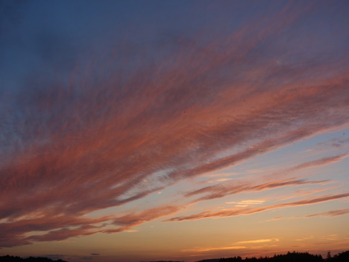 今日の夕焼け_d0021491_05454.jpg