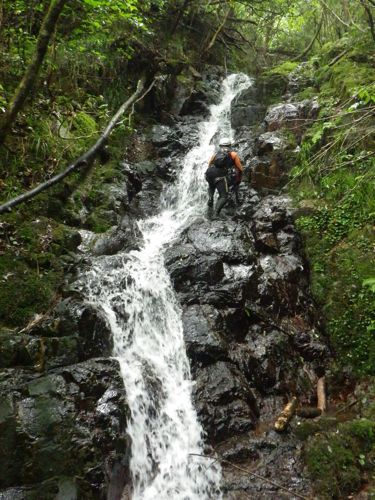 山口県　椹野川水系　岩倉沢左俣。_d0180595_1164728.jpg