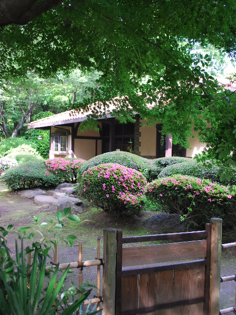東京飛鳥山の晩香廬(大正モダン建築再訪)_f0142606_15234361.jpg
