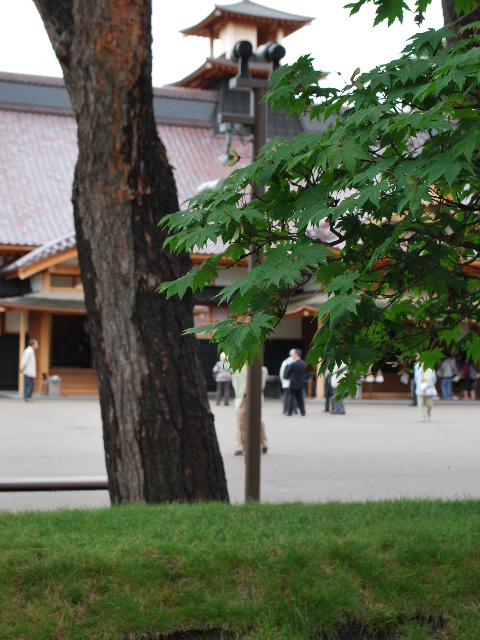 函館五稜郭の旧箱館奉行所(函館レプリカ建築探訪)_f0142606_6102179.jpg