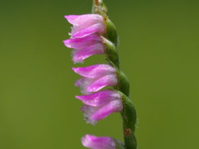 c0156908_1684066.jpg