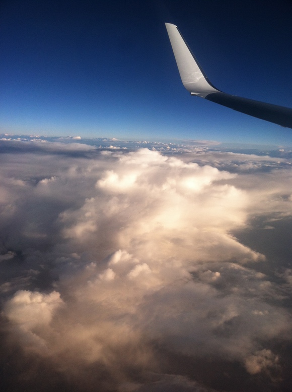 a0144811_3592476.jpg