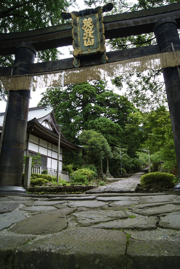 c0020320_1558281.jpg