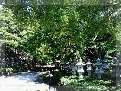 梅雨の中休み、、、勝運の寺［勝尾寺］_d0277422_21232331.jpg