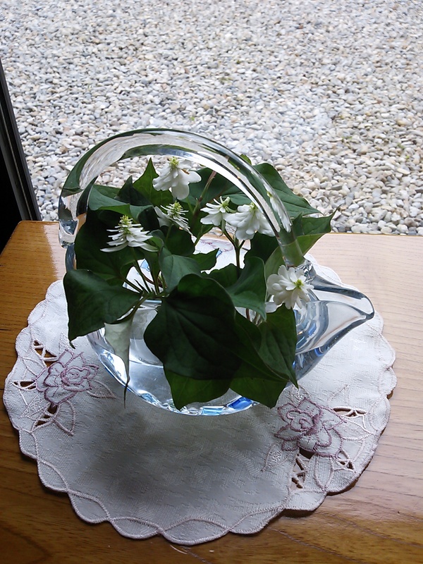 草むしり&季節の花たち!_c0213830_12322185.jpg