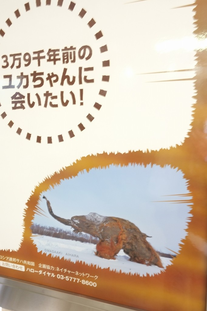 ユカの交通広告_f0050534_1455367.jpg