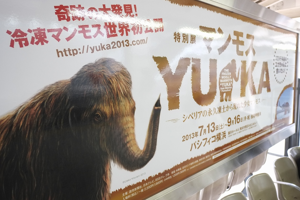 ユカの交通広告_f0050534_14555561.jpg